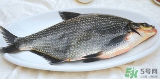 鳊魚怎么做好吃？鳊魚怎么燒好吃