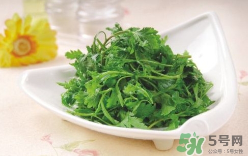 菊花腦孕婦能吃嗎？孕婦可以吃菊花腦嗎