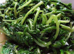 苦菜可以曬干嗎？苦菜怎么曬干？