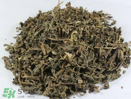 苦菜可以曬干嗎？苦菜怎么曬干？