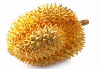 金枕頭和貓山王哪個好？金枕頭和貓山王的區別
