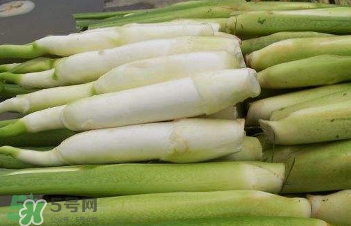 茭白是筍嗎？茭白是高筍嗎