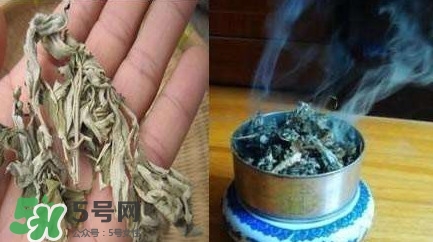 艾葉可以驅(qū)蚊子嗎？艾葉能驅(qū)蚊子嗎