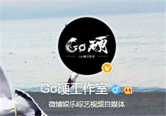 go硬工作室和卓偉有什么關(guān)系？go硬工作室是卓偉前員工成立的？