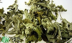 艾葉可以驅(qū)蚊子嗎？艾葉能驅(qū)蚊子嗎