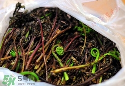 猴腿菜是發物嗎?猴腿菜孕婦可以吃嗎?