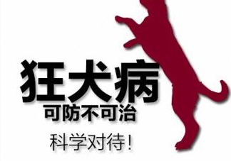 狂犬病會傳染嗎？狂犬病會學(xué)狗叫嗎