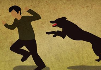 狂犬病能治好嗎？狂犬病的早期癥狀