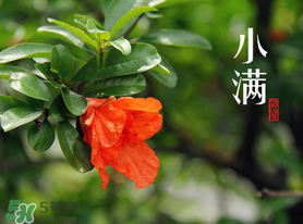 ?小滿可以回娘家嗎？?小滿能回娘家嗎？