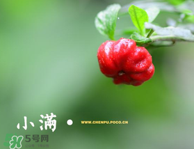?小滿可以回娘家嗎？?小滿能回娘家嗎？