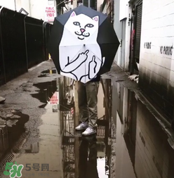 ripndip是什么牌子？ripndip是什么檔次？