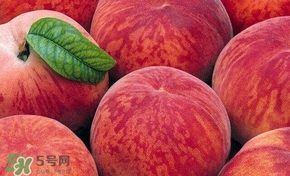 桃子和西瓜一起吃會中毒嗎？桃子和西瓜能一起吃嗎？