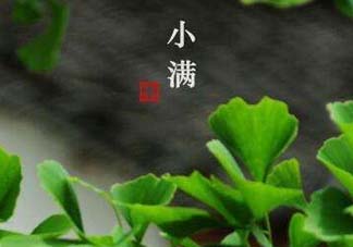 ?小滿可以回娘家嗎？?小滿能回娘家嗎？
