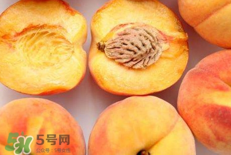 黃桃是什么季節的？黃桃是轉基因的嗎