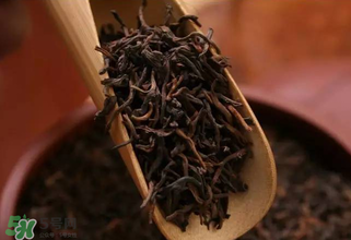 普洱茶能不能天天喝？天天喝普洱茶好嗎？