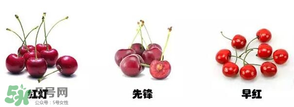 櫻桃和車厘子有什么區(qū)別？櫻桃和車厘子哪個貴？