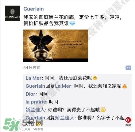 嬌蘭和嬌蘭佳人一樣嗎？嬌蘭和嬌蘭佳人什么聯系？