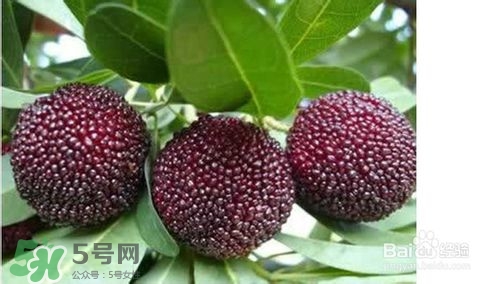楊梅怎么吃好吃？楊梅怎么吃不酸？
