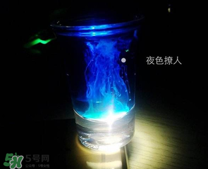 僵尸雞尾酒配方是什么？僵尸雞尾酒配方做法