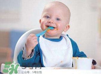 寶寶幾個月可以吃肉松？寶寶多大可以吃肉松