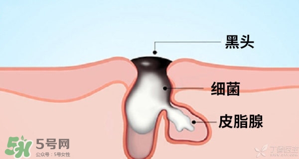 城野醫生毛孔收斂水真的有用嗎