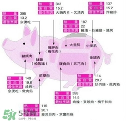 里脊肉是哪個部位？里脊肉是哪里的肉
