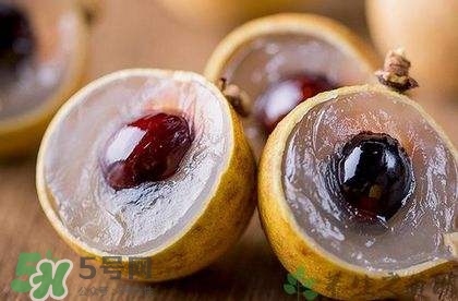 龍眼是哪里的特產(chǎn)？龍眼是幾月份的水果？