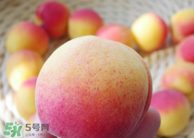 杏的熱量高嗎？一個(gè)杏的熱量是多少？