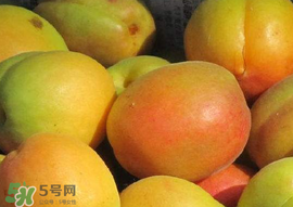 杏怎么催熟？杏怎么放熟的快？