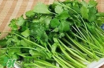 香菜洗腎有科學(xué)依據(jù)么？香菜能洗腎是真的嗎？