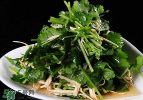香菜是什么菜？香菜是陽痿草嗎？