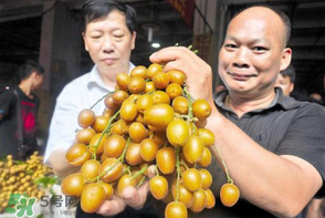黃皮好吃嗎？黃皮是什么味道？