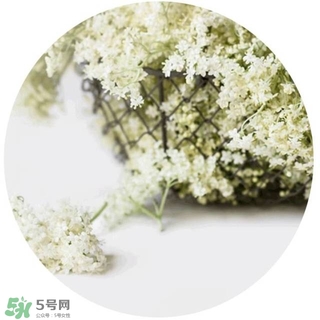 lululun plus面膜怎么樣？lululun plus面膜哪款好