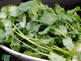 香菜是發物嗎？香菜是不是發物