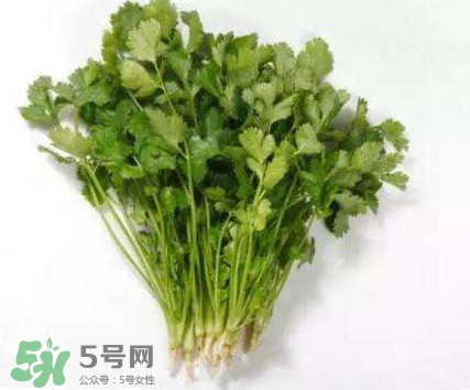 香菜洗腎有科學(xué)依據(jù)么？香菜能洗腎是真的嗎？