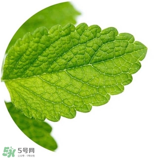 lululun plus面膜怎么樣？lululun plus面膜哪款好
