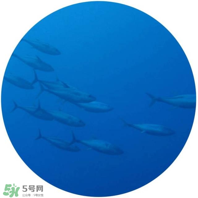 lululun plus面膜怎么樣？lululun plus面膜哪款好