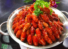 油燜大蝦吃哪些部位？怎么正確吃油燜大蝦？