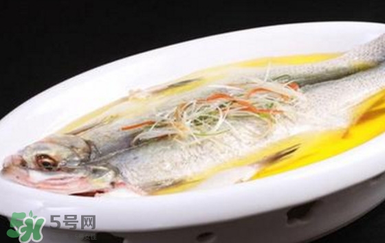 孕婦可以吃白條魚嗎？白條魚孕婦能吃嗎？