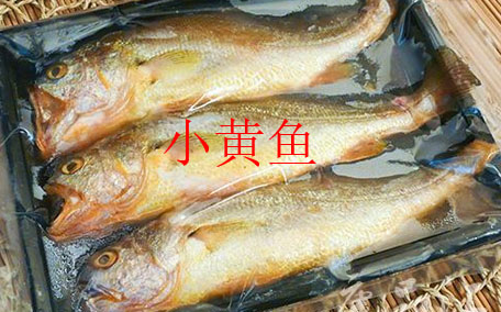 釣黃顙魚用什么打窩 牛羊骨頭或雞鴨肝臟