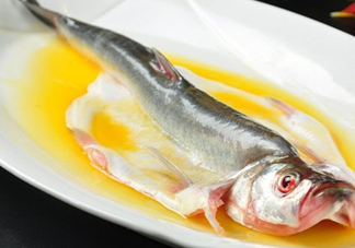 白條魚能長(zhǎng)多大？白條魚可以長(zhǎng)多大？