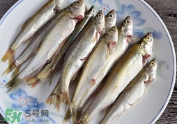 孕婦可以吃白條魚嗎？白條魚孕婦能吃嗎？