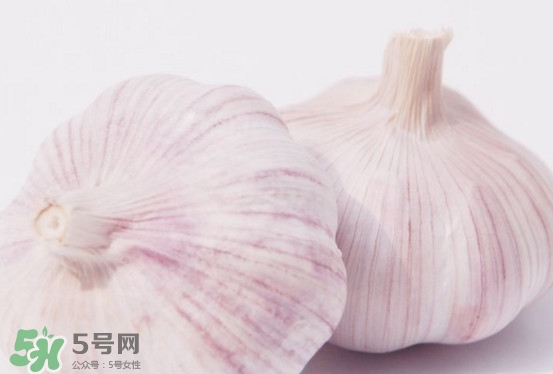 新蒜頭多少錢一斤2017？新蒜頭市場價格