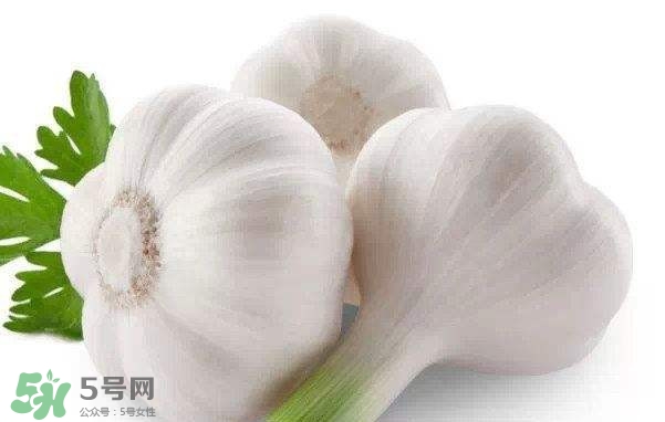 新蒜頭多少錢一斤2017？新蒜頭市場價格