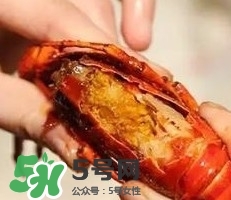 蝦黃孕婦能吃嗎？蝦黃在哪個位置圖解