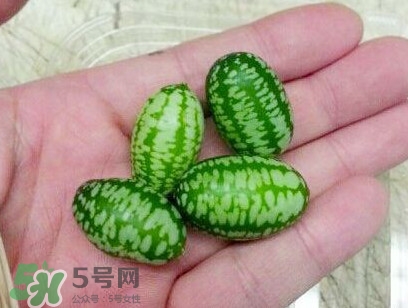 迷你西瓜能生吃嗎？迷你西瓜怎么吃