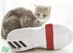 adidas dame3上腳怎么樣？阿迪達斯利拉德三代測評