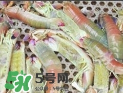 蝦黃孕婦能吃嗎？蝦黃在哪個位置圖解
