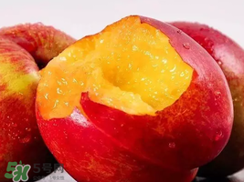 油桃怎么保存不會(huì)變軟？油桃怎么保存時(shí)間長(zhǎng)？