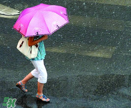 2022年梅雨季節雨水多嗎 梅雨季節有多長